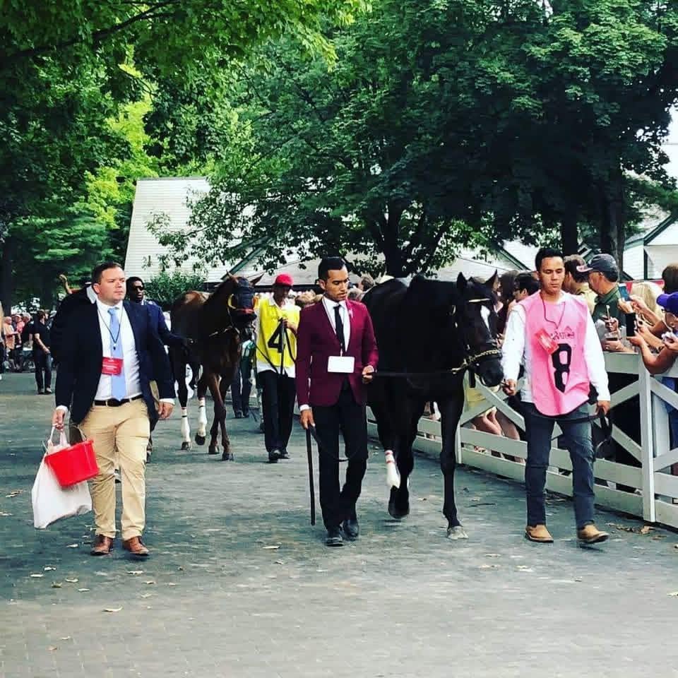 A racehorse walking with its team; photograph shared by Yoni Orantes