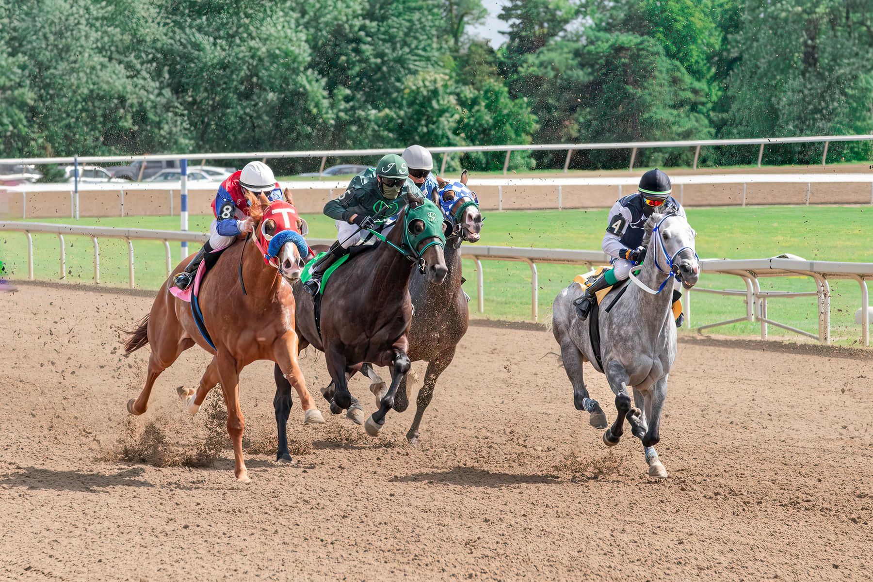 Racehorses and jockeys running on a dirt track; illustrative stock photograph